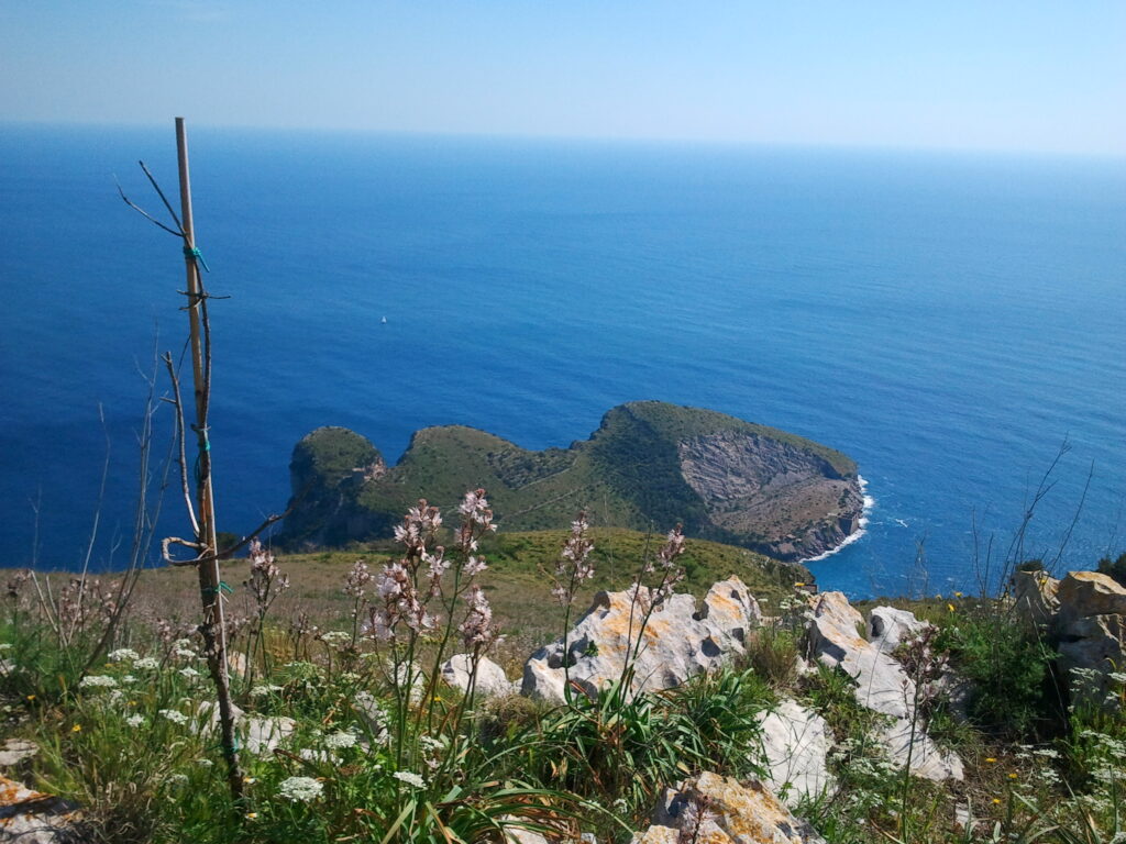 Baia di Ieranto – Esperienza Naturalistica e Snorkeling