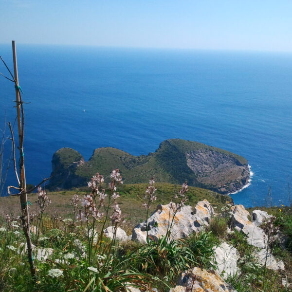 Baia di Ieranto