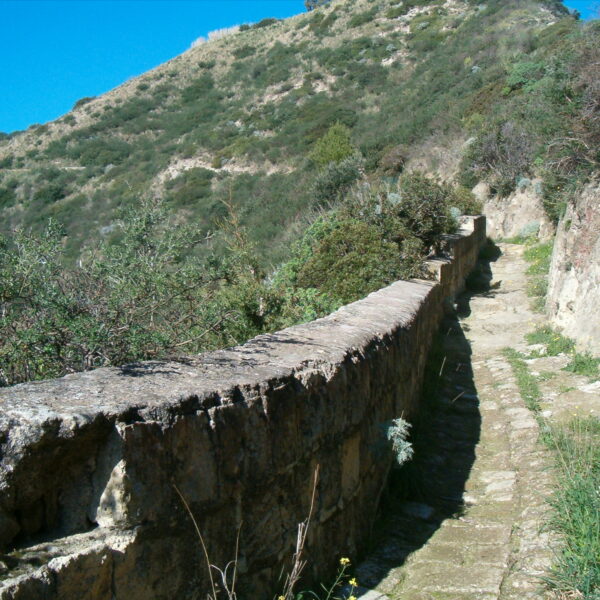 Capo Miseno, Campi Flegrei