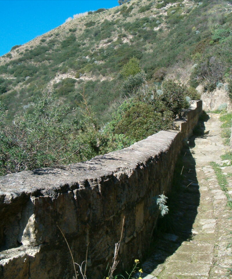 Capo Miseno, Campi Flegrei