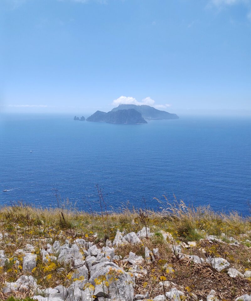 Riserva Marina Punta Campanella