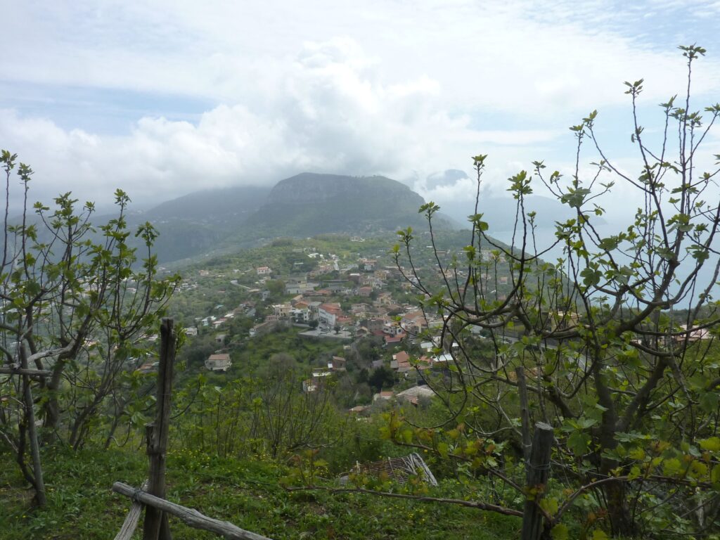 Sentiero delle Sirenuse – Colli di Fontanelle, Penisola Sorrentina