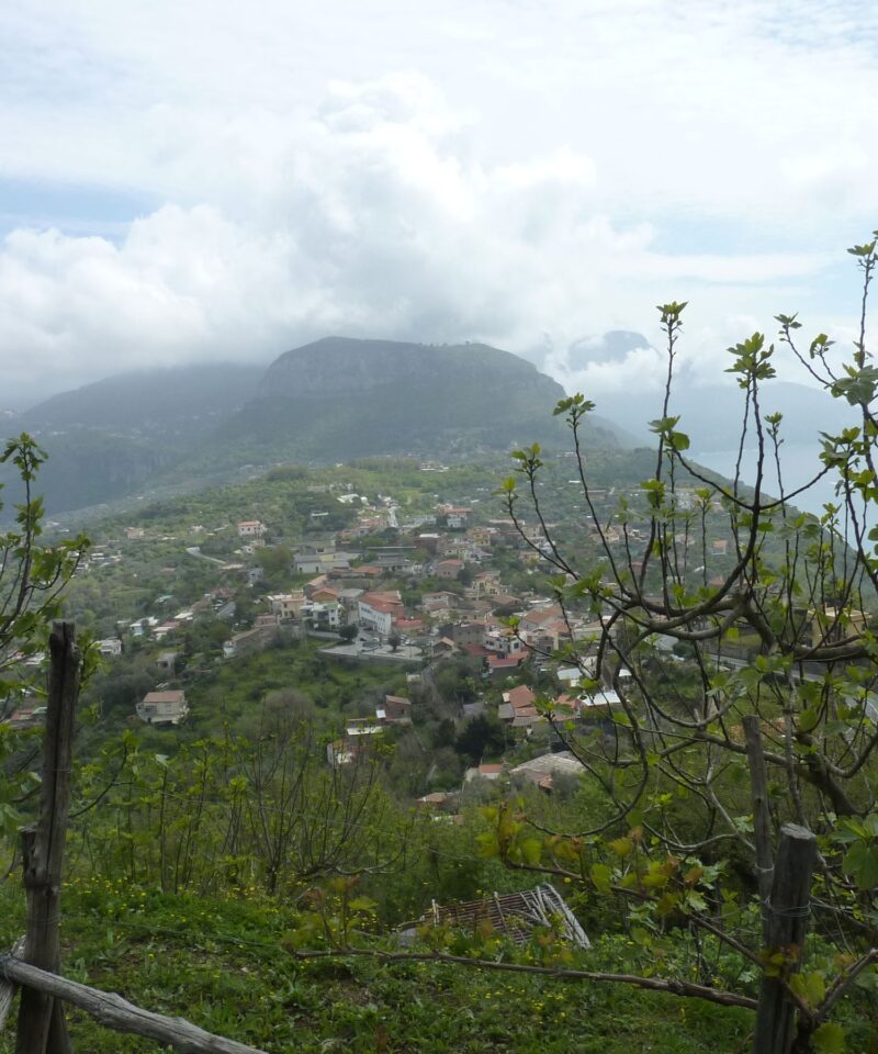 Colli di Fontanelle, Sant'Agnello